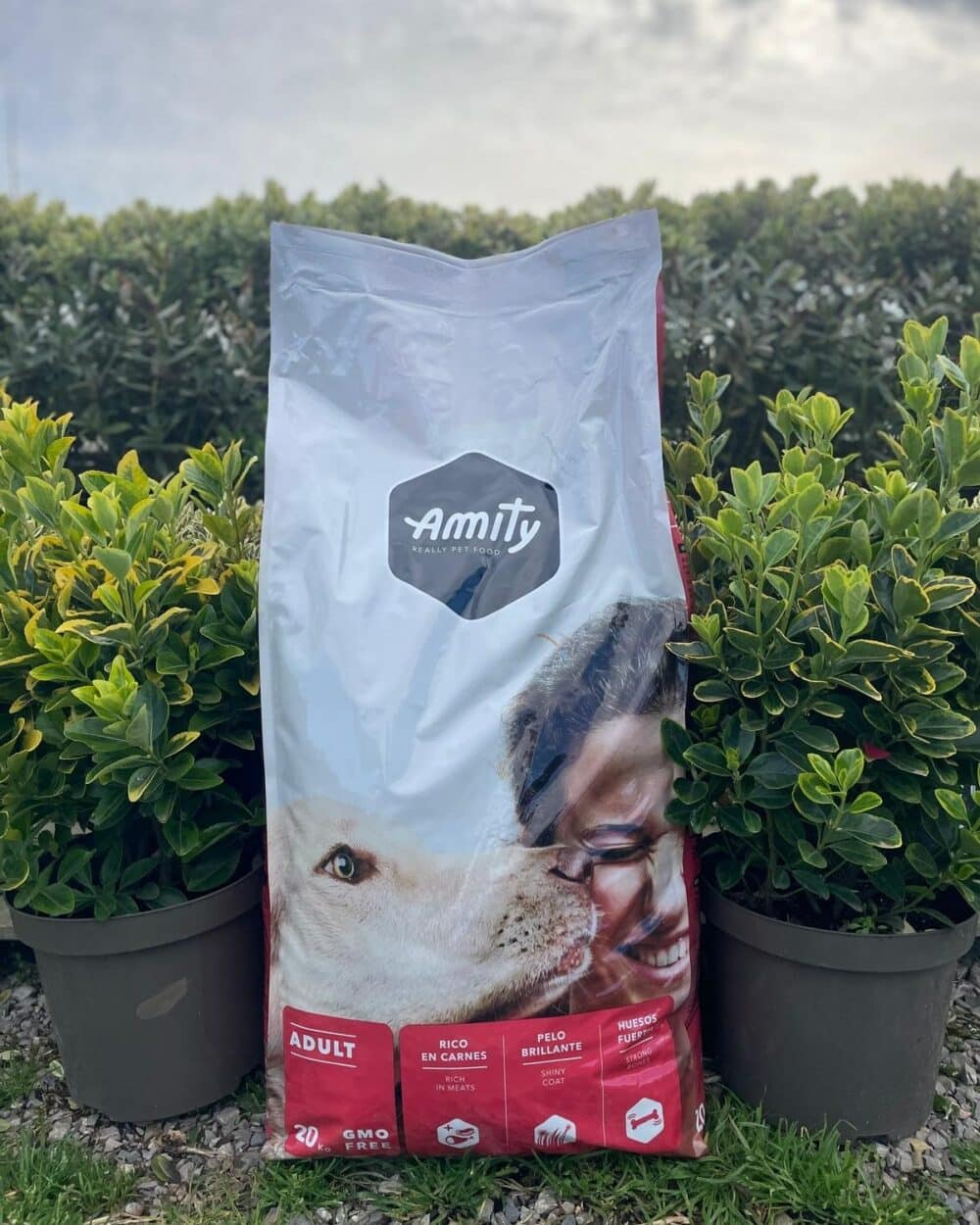 Croquettes Amity - Chien