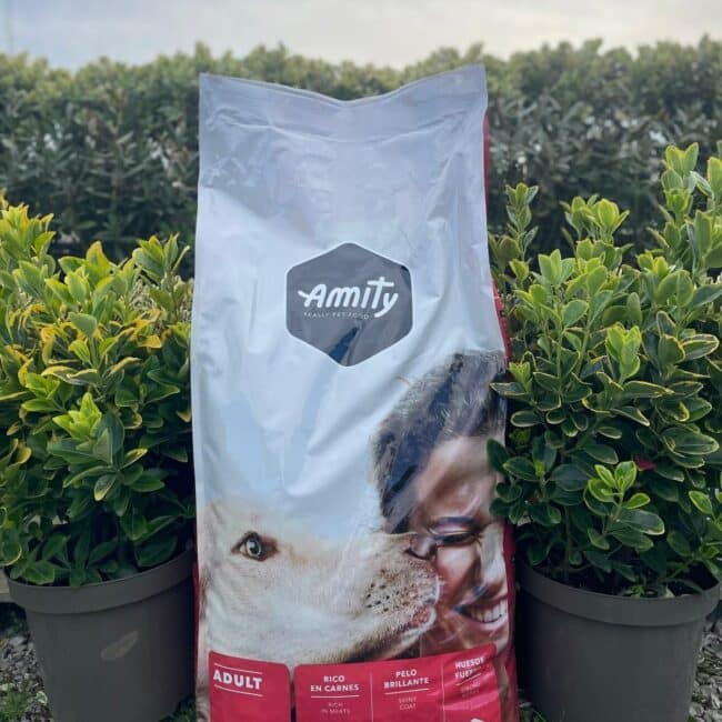 Croquettes Amity - Chien