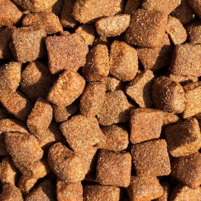 Croquettes - Chien