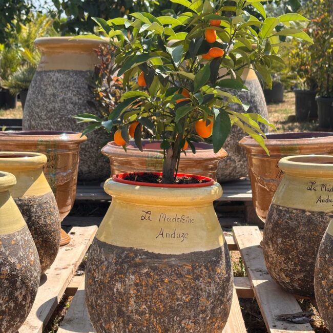 Pots Anduze - Poterie de la Madeleine - Biot